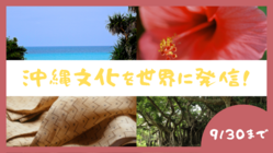 「あまくま琉球」ー沖縄を世界に伝えるウェブサイトを作りたい！ のトップ画像