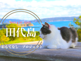 "猫の島"田代島に観光客の憩いの場となるレストランを創ります！ のトップ画像