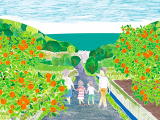柑橘畑よ、よみがえれ。広島県内海町の柑橘を復活させたい！ のトップ画像