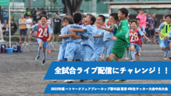 ハトマーク中央大会全試合ライブ配信チャレンジにご支援お願いします のトップ画像