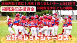 地域の架け橋に！沖縄１強く楽しいチームを目指す野球少年たちの挑戦。 のトップ画像
