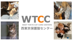 西東京保護猫センター新規開設に伴う整備について