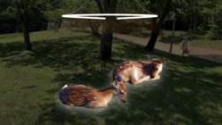 宝が池公園の人と動物を巻き込む動く環境彫刻 のトップ画像