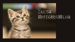 SDGｓ　日本の社会貢献団体の活動を独立FPと一緒に助ける！ のトップ画像