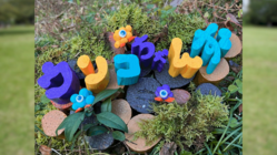 鳥取県で子供たちが中心となり制作するYouTube番組を作りたい！ のトップ画像