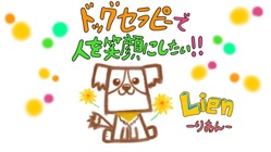 ドックセラピーをしたい！！ のトップ画像