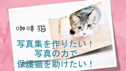 カフェ猫写真集『咖啡猫 』を作りたい！写真の力で猫を助けたい！ のトップ画像