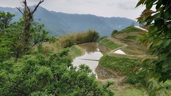 宮崎県椎葉村で障がい者、IUターン雇用の場所をつくりたい。 のトップ画像