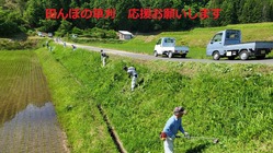 ラジコン草刈機導入資金 のトップ画像