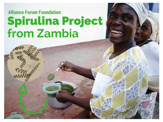Sp スピルリナ クロレラ ユーグレナの比較 藻 が世界を救う ザンビア産スピルリナで 栄養革命を 森長 史人 一般財団法人アライアンス フォーラム財団 16 11 18 投稿 クラウドファンディング Readyfor レディーフォー