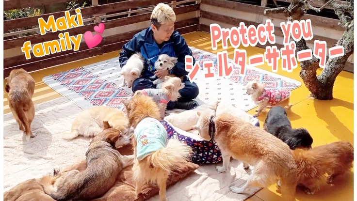 Protectyou～保護犬猫の医療と介護の継続サポーター募集