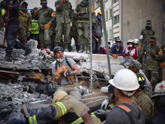 メキシコ地震で被災した地域に 今度は日本からエールを 中内稀誠 17 10 13 公開 クラウドファンディング Readyfor