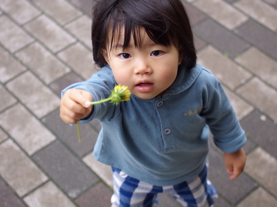 子どもだけに見える世界 チャイルドビジョンのうた を届けたい 重松和枝 14 05 26 公開 クラウドファンディング Readyfor レディーフォー