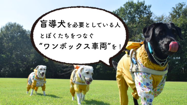 盲導犬ユーザーに笑顔を ワンボックス車両の入れ替えがしたい 公益財団法人 東日本盲導犬協会 01 15 公開 クラウドファンディング Readyfor レディーフォー