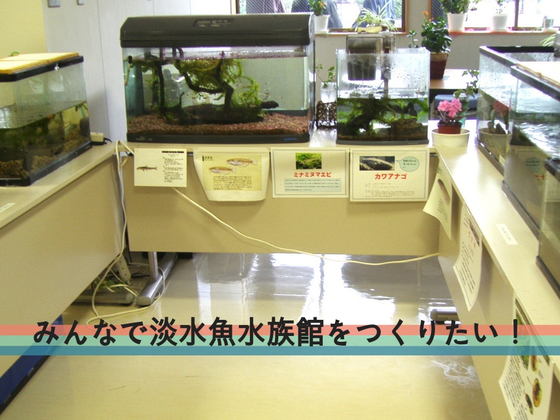 九州湯布院に、淡水魚の魅力が伝わる「国産淡水魚水族館」を開館