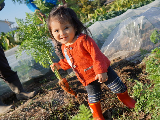 畑は農業を魅せる場所！子どもが安心して過ごせる農園へ育てたい（香取 