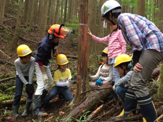 「健康な森ってどんな森？」を学ぶきこり体験を子どもたちに！
