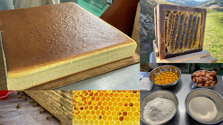 地域に養蜂家を増やしたい！日本蜜蜂のハチミツで芳醇なカステラを作る