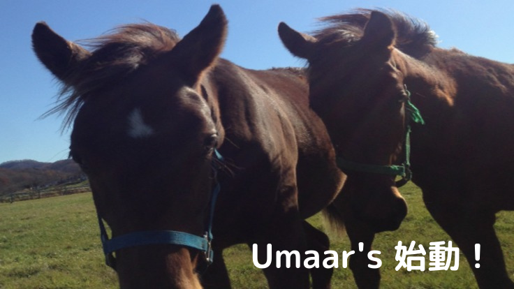 【Umaar'sの挑戦】新ひだか町で引退馬も地域も幸せにしたい！