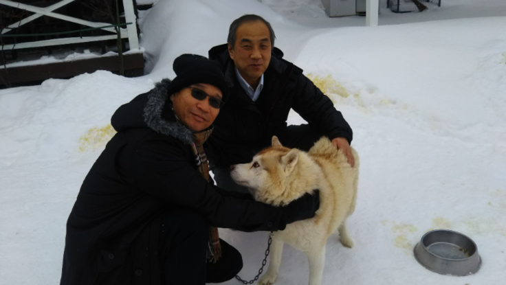 北海道安平町で冬の魅力のアクティビティ作り　犬ぞり体験！