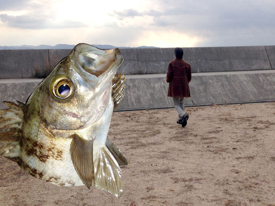 直島に記念撮影したくなるような魚のオブジェを新たに創りたい！