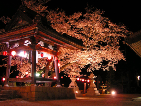 建立757年広島のお寺をライブ会場＆ギャラリーに変貌させたい