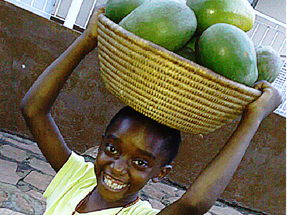 農業学校を建設し１万人のウガンダ人の自立支援を!