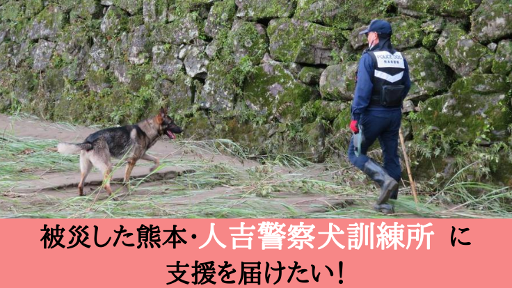 復旧支援：被災した熊本の災害救助犬・警察犬訓練拠点を再興