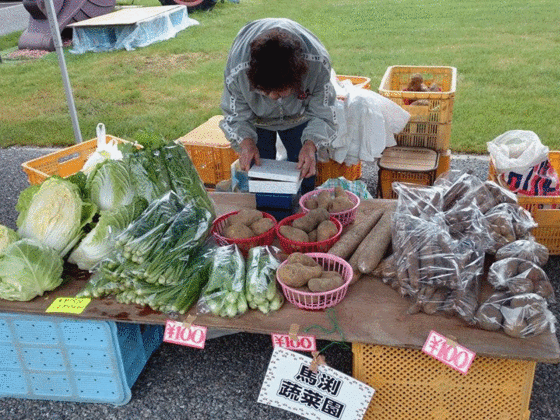 福島の再生を環境保全型フクシマハウス有機農法で応援したい！