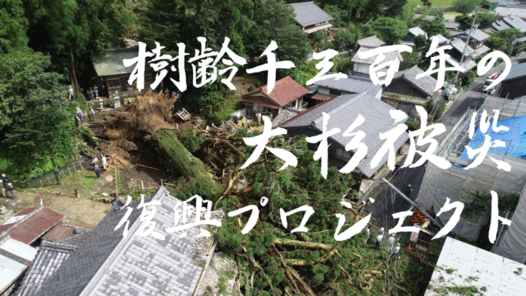 令和2年7月豪雨 樹齢1300年の大杉被災復興プロジェクト 大湫大杉を応援する若手有志の会 10 15 公開 クラウドファンディング Readyfor レディーフォー