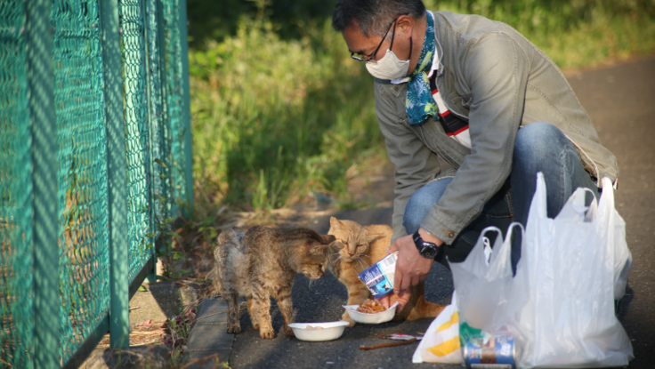 柏尾川保護猫ボランティアサポーター