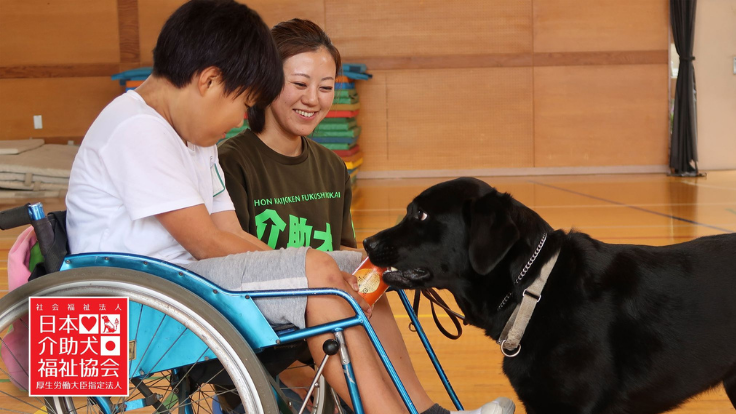 身体障害者を支える介助犬への育成支援を！コロナ危機を乗り越えたい