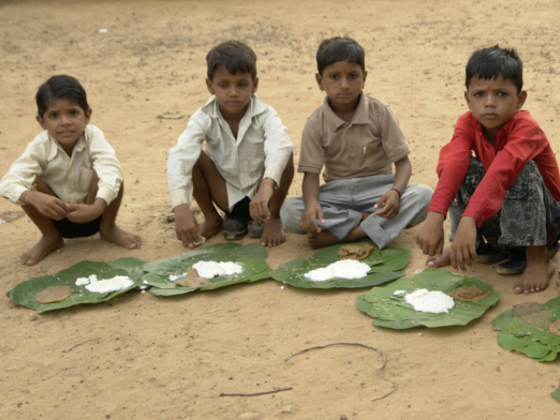 インドの農村部の栄養失調改善のためにモリンガを栽培したい！