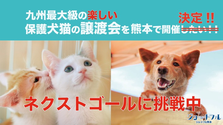 九州最大級の楽しい保護犬猫の譲渡会を熊本で開催したい！！