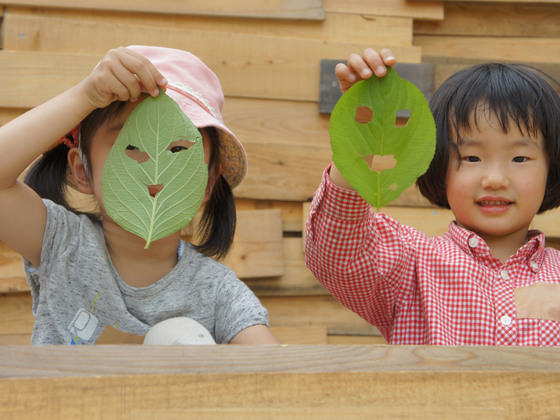 福島の子どもたちに自然体験を！手のひらに太陽の家プロジェクト