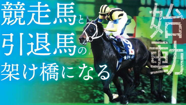 東映ag 角居調教師 競走馬と引退馬の名馬グッズプロジェクト 東映エージエンシー 競馬グッズ販売事業 22 01 26 公開 クラウドファンディング Readyfor