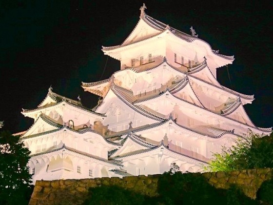 認知症啓発のために、姫路城をライトアップしたい！