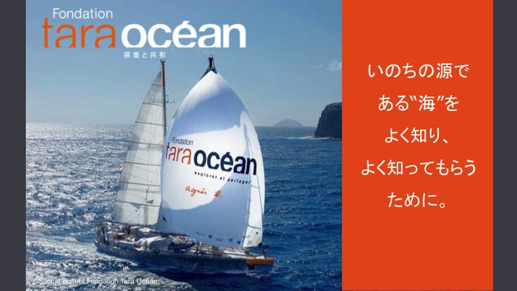 美しい海を未来へ 海洋プラスチックの問題に あなたからの追い風を 一般社団法人タラ オセアン ジャパン 22 03 25 公開 クラウドファンディング Readyfor