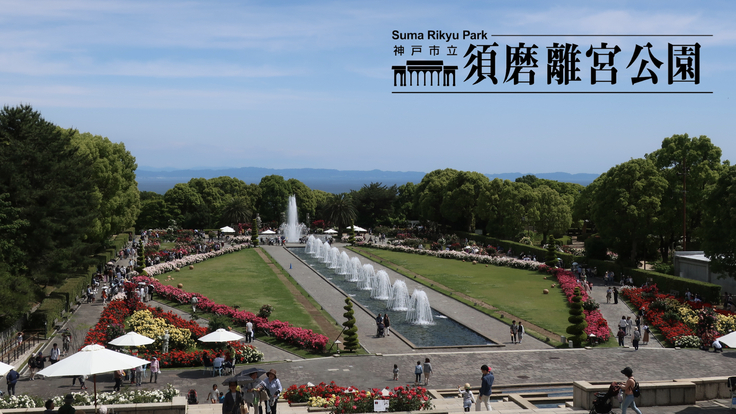 須磨離宮公園｜市民と公園を繋ぐ挑戦！バラ園が咲き誇る美しい庭園へ