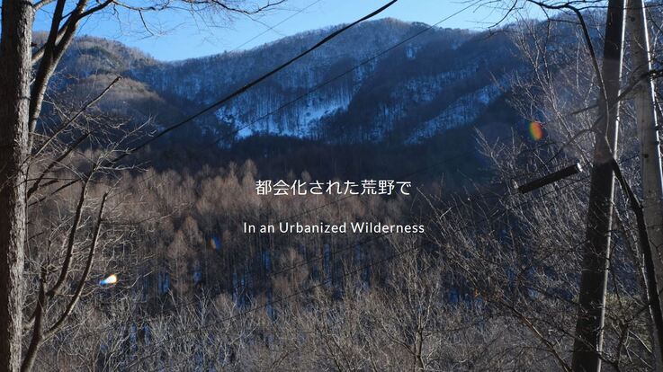 長野県の山荘と周辺の森で開く展覧会 都会化された荒野で へのご支援 都会化された荒野で 22 04 28 公開 クラウドファンディング Readyfor