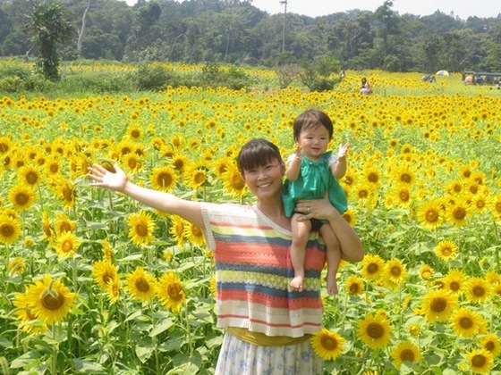 夏は浜名湖ひまわり畑へ ひまわり専門webショップ立上げたい 塩崎明子 16 10 31 公開 クラウドファンディング Readyfor