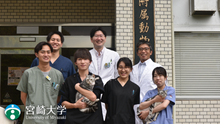 宮崎大学｜SFTSから猫と人を守るためのシェルターを作製したい！！