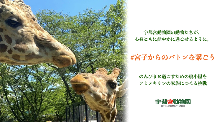 #宮子からのバトンを繋ごう｜宇都宮動物園の動物たちの住環境向上へ！