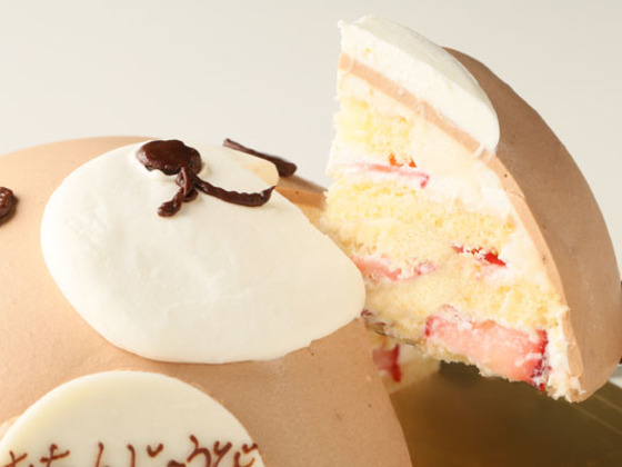 立体3dキャラクターオーダーケーキ を日本全国に広めたい 佐野 嘉則 16 09 09 公開 クラウドファンディング Readyfor