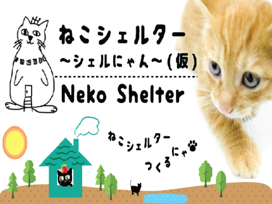 岐阜県の猫殺処分を0に！駅から徒歩5分の総合保護猫施設を開設！
