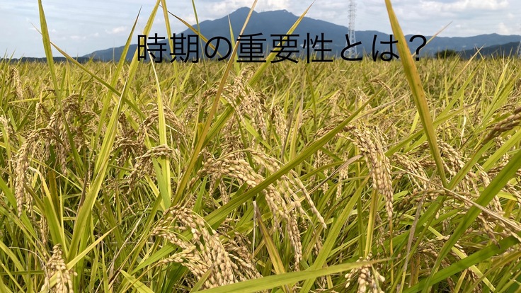 土に肥料を入れない半夏生前田植えで稲作大革命!プロの農家とコラボ！