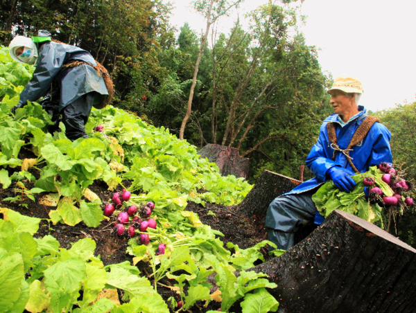 A17c9aaa61e80a1bf71d0d850af4e5baa9800bbd