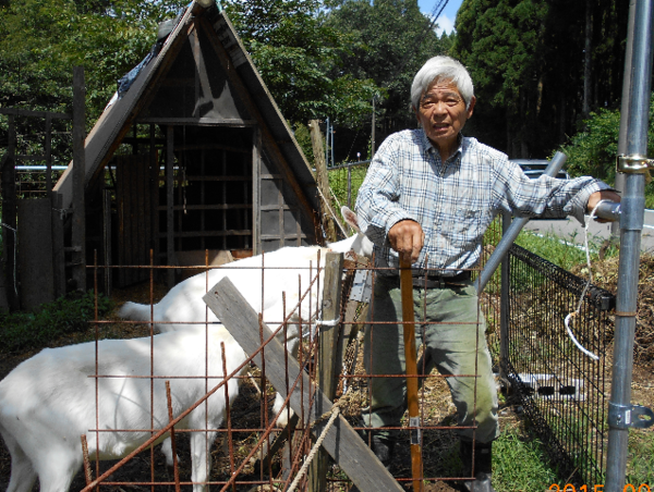 A17c9aaa61e80a1bf71d0d850af4e5baa9800bbd