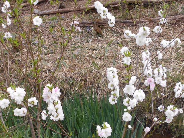 A17c9aaa61e80a1bf71d0d850af4e5baa9800bbd