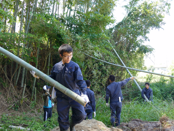 A17c9aaa61e80a1bf71d0d850af4e5baa9800bbd